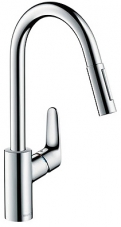  Hansgrohe Focus 31815800     ,  